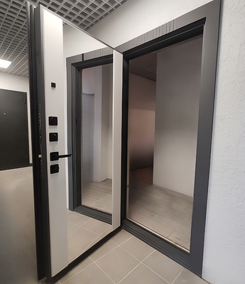 Дверь в квартиру с МДФ и зеркалом Дверь в квартиру с МДФ и зеркалом